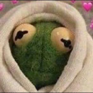 Meet your Posher, Daisy